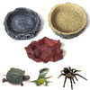 Reptile Resin Food & Water Bowl | Lizard, Snake & Spider Dish