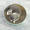 Round Green Cat Scratcher Bed, 36cm, Corrugated Cardboard