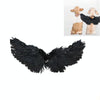 Black Feather Angel/Devil Pet Wings (Large)