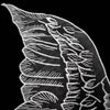 Red 1 Pair Organza Wings Shape Embroidery DIY Clothing Accessories