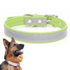 Reflective PU Leather Dog Collar, XXL, Light Green - CL181K