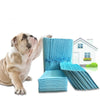 Large Dog Training Pads 60x60cm (40 Pack) - Absorbent & Leakproof