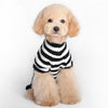 Halloween Skull Pet Sweater XXS | Cat & Dog Costume