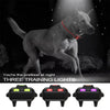 Dog Training Collar, 2 Dogs, 800m Remote, IPX7 Waterproof (Orange)