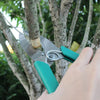 Fruit Tree Cutting Shears Seedling Stripping Scissors Garden Planting Branch Bark Cutter(Green)