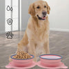 Collapsible Silicone Pet Bowl, Double, Slow Feed, Portable, Sky Blue
