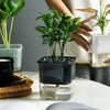 Hydroponic Transparent Visible Plastic Flower Pot, Size: 10x10x11.3cm(Translucent)