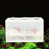 Large Fish Breeding Isolation Box | Aquarium Incubator