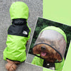 Seasons Dog Raincoat, Rose Red, Small - Waterproof PU