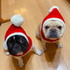 XL Christmas Wool Dog Hat - Winter Warm Festive