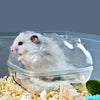 Hamster Bathroom Toilet, Medium