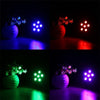 3 in 1 6 LEDs Voice Control + Self-propelled + RGB Mini LED PAR Light, AC 100-240V