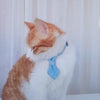 Dark Blue Denim Cowboy Bow Tie Pet Collar, S (16-32cm), Cats & Dogs