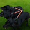 TPU Double Dog Lead - Tangle-Free, 25cm (Orange)