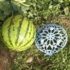 5 PCS Watermelon Holding Fruit Planting Tray Garden Fruit Anticorrosive Rotten Plastic Stable Tray