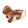 Transparent Dog Raincoat, Orange, XS - Waterproof