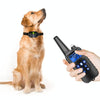 Dog Training Collar 800m Remote Vibration Shock 3 Dogs IP67 Waterproof