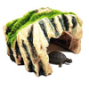 Box Turtle Hide Cave Mossy Basking Spot GT46 Resin Ornament