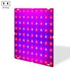 LED Plant Growth Lamp Red Blue Spectrum Flower Fill Light Planting Lamp Room Quantum Plate Plant Light, Power: 81 Beads US Plug