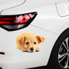 Style 3 Small 3D Simulation Dog Car Stickers Rain-Proof Sunscreen Car Sticker Scratch Shaving Decoration Stickers