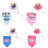 Pet Birthday Crown & Scarf Set, Balloon Pink - Cat/Small Dog