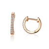 S925 Sterling Silver Circle Earrings Zircon Earrings, Color:Rose Gold