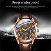 OLEVS 2871 Men Multifunctional Sports Chronograph Luminous Quartz Watch(Coffee + Rose Gold)