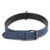 JINMAOHOU Blue Leather Dog Collar, Small (39x2.2cm) - Durable & Soft