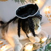 White Pirate Pet Hat | Cat & Dog Costume | Halloween | Adjustable