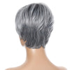 Wig-332 Silver Gray Ladies Short Straight Hair Wig High Temperature Silk Chemical Fiber Headgear
