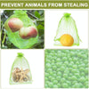 100pcs /Pack  Fruit Protection Bag Anti-Insect And Anti-Bird Net Bag 30 x 40cm(Dark Green)