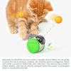 Electric Tumbling Cat Toy with Bird Sound & Catnip (Blue)