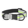 Reflective Dog Collar, Large, Green, Nylon, Strong Buckle
