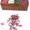 10 PCS 1:12 Mini House Toy Simulation Eggplant Vegetable Kitchen Decoration(Purple)