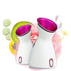 Hot And Cold Face Steamer Facial Moisturizing Spray Beauty Instrument CN Plug(Anther)