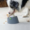 3-in-1 Dog Lick Mat | Slow Feeder Bowl & Cage Lick Plate