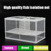 Large Fish Breeding Isolation Box | Aquarium Incubator