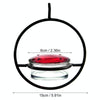 Blackcurrant Hanging Metal Bird Feeder for Small Birds