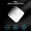T95MINI 4K HD Network TV Set Top Box, Android 10.0, Allwinner H313 Quad Core 64-bit Cortex-A53, 1GB + 8GB, Support 2.4G WiFi, HDMI, AV, LAN, USB 2.0, AU Plug