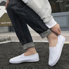 LuTai Men & Women Casual Simple Canvas Shoes Student Low-Top Sneakers, Size: 42(White)