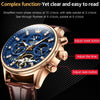 OLEVS 6658 Men Luminous Waterproof Leather Strap Mechanical Watch(Blue + Rose Gold)