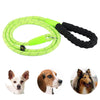 Reflective Dog Training Lead with Padded Handle