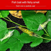 10 PCS 4cm Fishing Soft Artificial Shrimp Bait Lures Popper Poper Baits with Hook(Green)