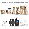 PaiPaitek PD526V-2 Dog Training Collar - 2 Dogs, 1000m Range, Vibration & Sound