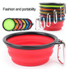Collapsible Silicone Pet Travel Bowl (13cm, Random Colour)