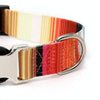 Blue Striped Pet Collar, Adjustable, S (1.5x27-43cm) - Dog/Cat