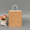 10 PCS Elegant Kraft Paper Bag With Handles for Wedding/Birthday Party/Jewelry/Clothes, Size:16x22x8cm(White Kraft)