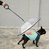 Pet Umbrella Transparent Adjustable Rainy Dog Walking Leash