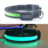 USB Rechargeable LED Dog Collar, Green, L (50-60cm)