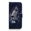 For Asus Zenfone 9 Coloured Drawing Leather Phone Case(Lion)